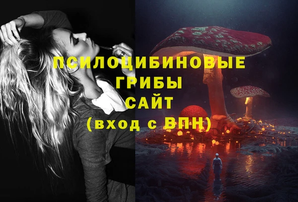 тгк Каменногорск